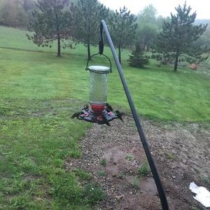 Meet your Posher, Annette